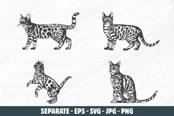 Bengal Cat Vector, Bengal Cat Svg. Review