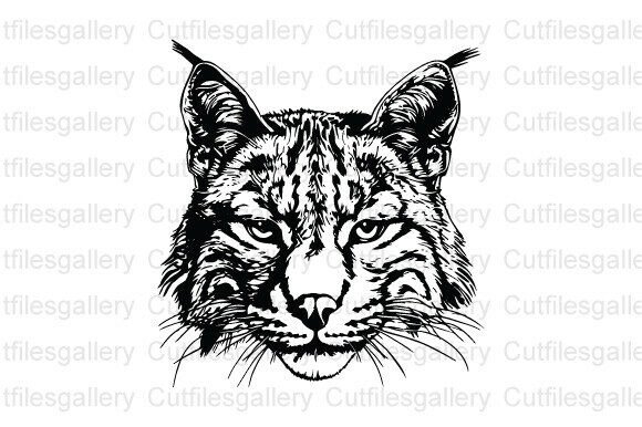 Bobcat SVG Design Review for Embroidery Projects