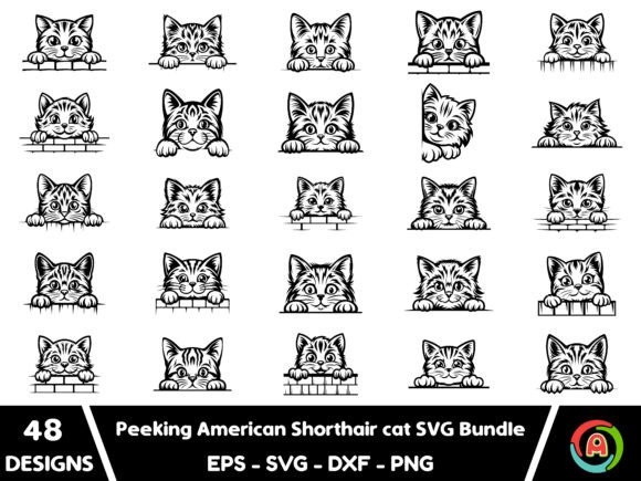 Peeking American Shorthair Cat Svg Review